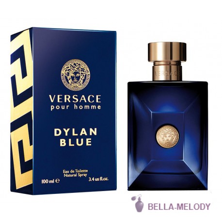 Versace Pour Homme Dylan Blue 22