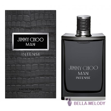 Jimmy Choo Man Intense 22