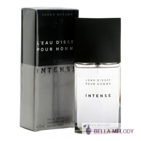 Issey Miyake L'Eau D'Issey Intense Pour Homme 22