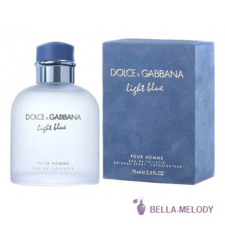 Dolce Gabbana (D&G) Light Blue Pour Homme 22