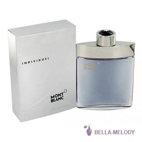 Mont Blanc Individuel Men 22