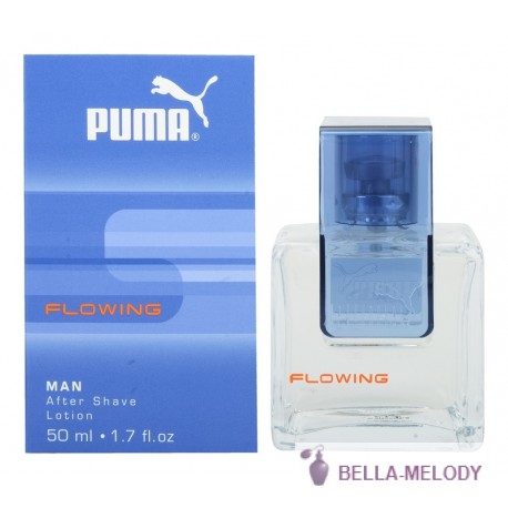 Puma Flowing For Men 22