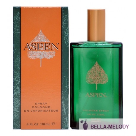 Coty Aspen For Men 22