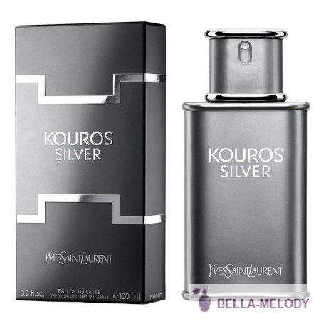 YSL Kouros Silver 22