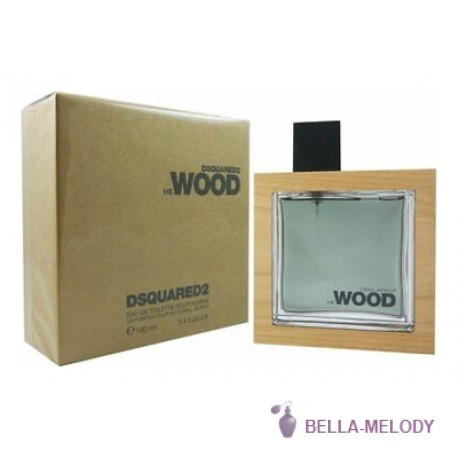 Dsquared2 He Wood 22