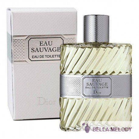 Christian Dior Eau Sauvage 22